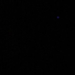 Meet your Posher, Marla